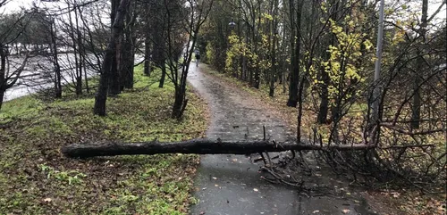 Toulouse. Intempéries, pluies et vents : la Haute-Garonne en...