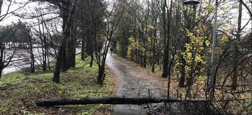 Haute-Garonne. L'épisode venteux le plus fort est à venir dans le...