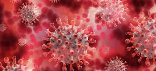 Coronavirus : Un nouveau cluster identifié à Toulouse
