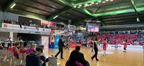 Jeux Olympiques. Toulouse labellisé Terre de Jeux 2024