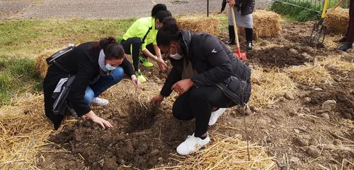 Plantation d’une micro-forêt au collège George Sand à Toulouse