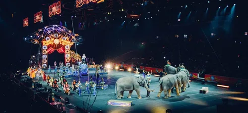 Manifestation à Toulouse pour l'interdiction des animaux dans les...