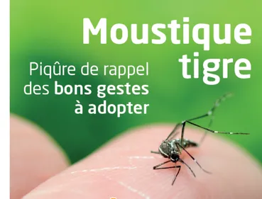 Toulouse. La chasse aux moustiques est ouverte