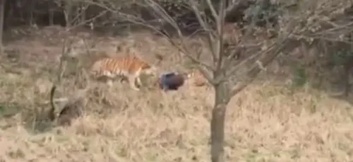 (Vidéo) Sous les yeux de sa femme et son enfant, un homme se fait...