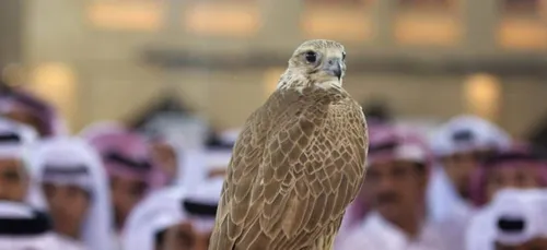 (Vidéo) Un prince saoudien réserve 80 places d'avion pour ... ses...