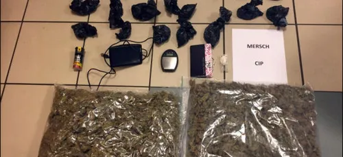 Un homme monte à bord d'une voiture de police avec sa drogue !