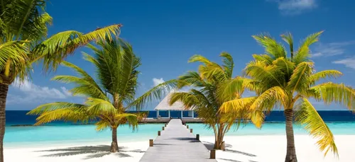 Ile Maurice : existe t'il un micro-continent sous l'ile ?