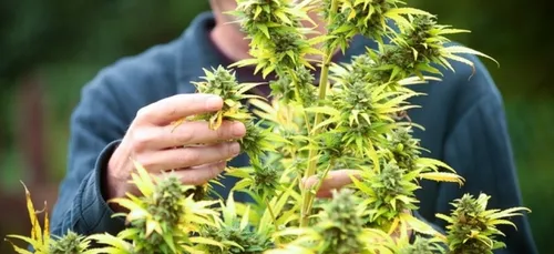 Ce papa a trouvé la parade pour expliquer au tribunal pourquoi il...