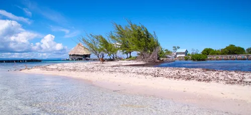 Une île des Caraïbes est en vente sur Ebay !
