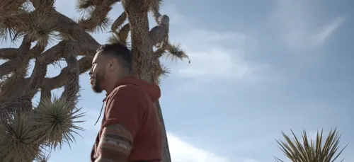 DISIZ LA PESTE - Autre espèce