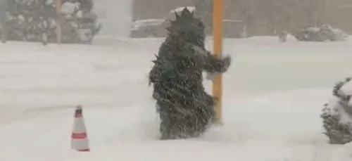 Le yéti existe bel et bien, on en a maintenant la preuve ! (Vidéo)