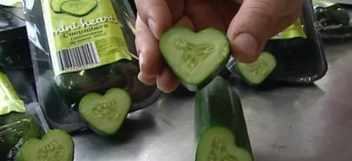 Un concombre retrouvé après une séance de 50 Nuances Plus Sombre...