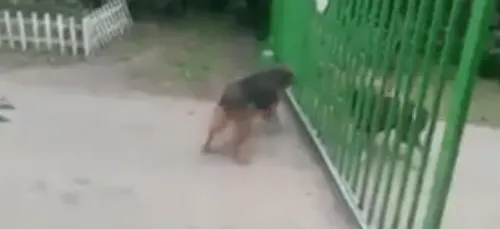 Les gens qui s'embrouillent salement en commentaire, je les vois...