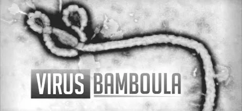 Le &quot;virus Bamboula&quot;, châtiment divin ? (Vidéo)