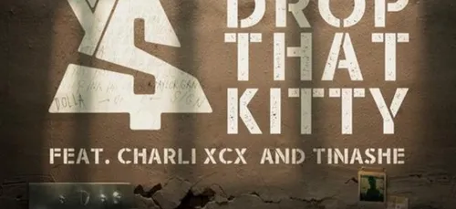 TY DOLLA $IGN FT. CHARLI XCX & TINASHE - Drop that Kitty
