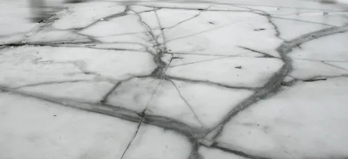 Un DJ New Yorkais se noie en sauvant son chien