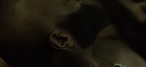 RICK ROSS - Phone tap