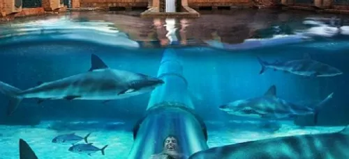 Les 5 hôtels qui possèdent les toboggans les plus dingues de la...