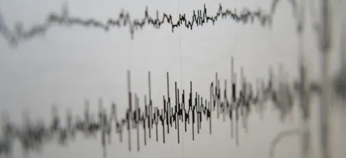 Pour la fête des mères, il font passer leur maman au détecteur de...