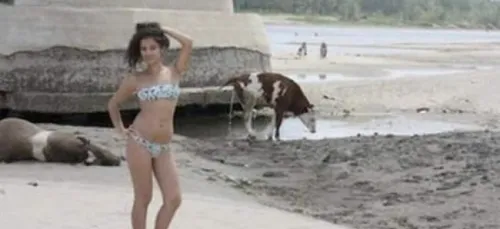 Ces photos en bikini qui auraient pu être sympas...mais non !