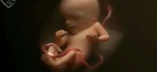 Vidéo: l'évolution d'un bébé dans le ventre de sa maman en 4...