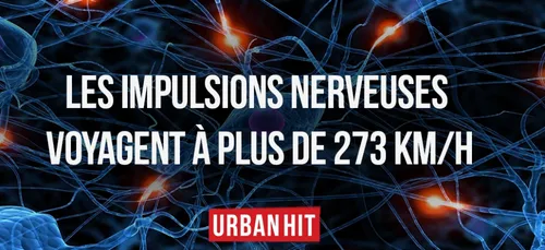 37 choses incroyables que vous ignorez sur le corps humain ! (ou pas)