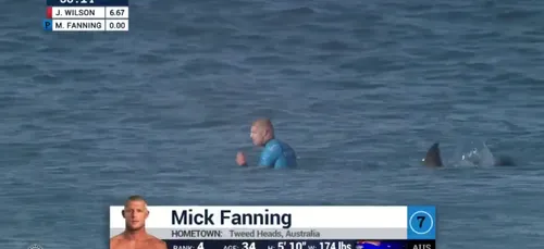 Afrique du Sud : Un surfeur attaqué par un requin lors une...