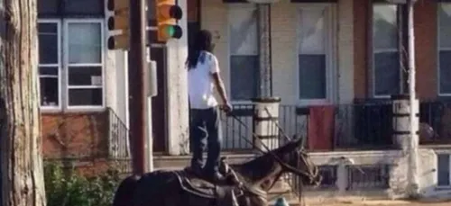 La définition de s'en foutre complètement ! (photos)