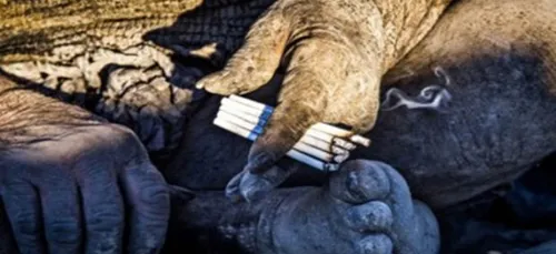 Amo Hadji, l'homme qui n'a pas pris de douche depuis 60 ans...une...