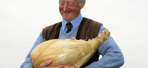 Les records les plus bêtes au monde !