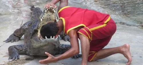 Pourquoi les femmes vivent-elles plus longtemps que les hommes ?