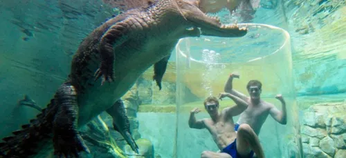 Les excursions touristiques les plus extrêmes ! (photos)