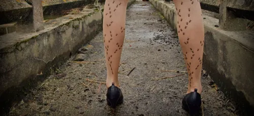 Des faits incroyables que vous devriez connaître !