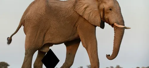 Ces biologistes se marrent sur Twitter en dévoilant les organes...