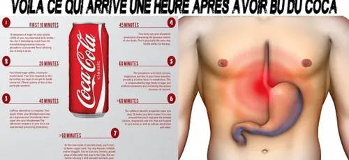 Voici l'effet du coca sur votre organisme, juste une heure après en...