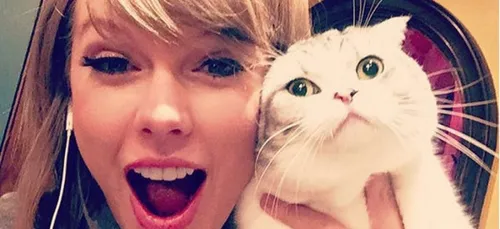 Instagram : Focus sur les comptes les plus suivis !