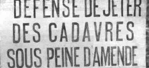 Les lois les plus oufs au monde !