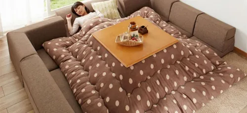 Amis paresseux cette invention japonaise est faite pour vous !...