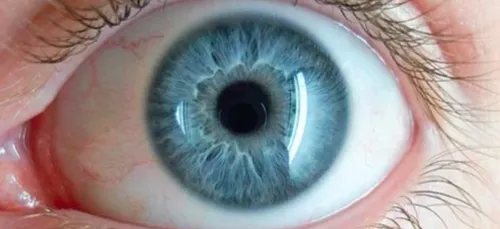 Les personnes aux yeux bleus descendraient d'un seul et même ancêtre