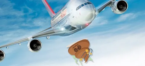 Une passante blessée par un bloc d'excréments congelés