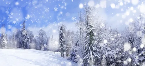 Huit bonnes raisons d'adorer  l'hiver !! (Photos)