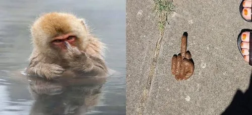 Quand la nature nous dit clairement ce qu'elle pense de...