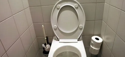 Blessée par un geyser d'excréments sorti de ses toilettes, elle...
