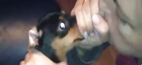 Vidéo : voilà ce qui se produit lorsqu'une jeune femme s'amuse à...