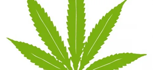 Des religieuses  cultivent et fument du cannabis !