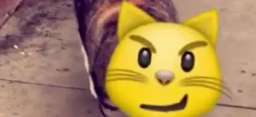 Snapchat : Une petite surprise dans la nouvelle mise à jours ! (Tuto)