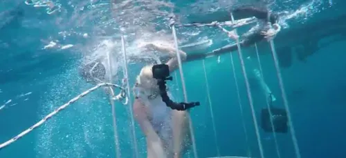 Une actrice X prend la pose au milieu des requins mais le shooting...