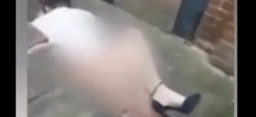 Ce jeune homme surprend un couple en train de faire l'amour en...