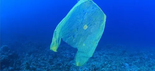 D'ici à 2050, il y aura plus de plastique que de poissons dans les...