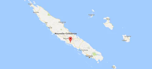 Nouvelle-Calédonie: âgé de 11 ans, il se muni d'un fusil et tire...